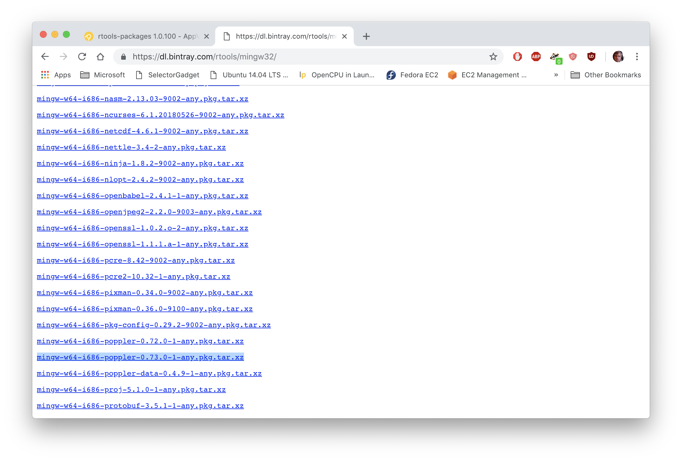 appveyor-deploy